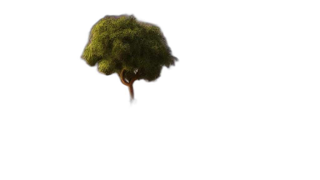 tree, hat, crown, hair transparent PNG cut-out