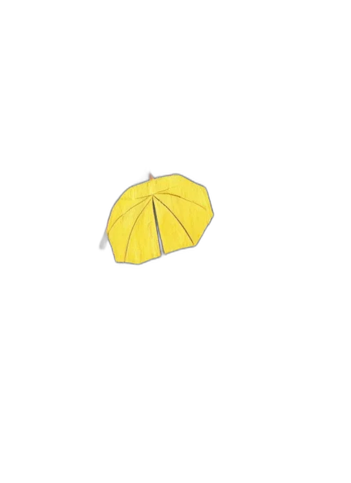 umbrella, hat, flower, crown transparent PNG cut-out