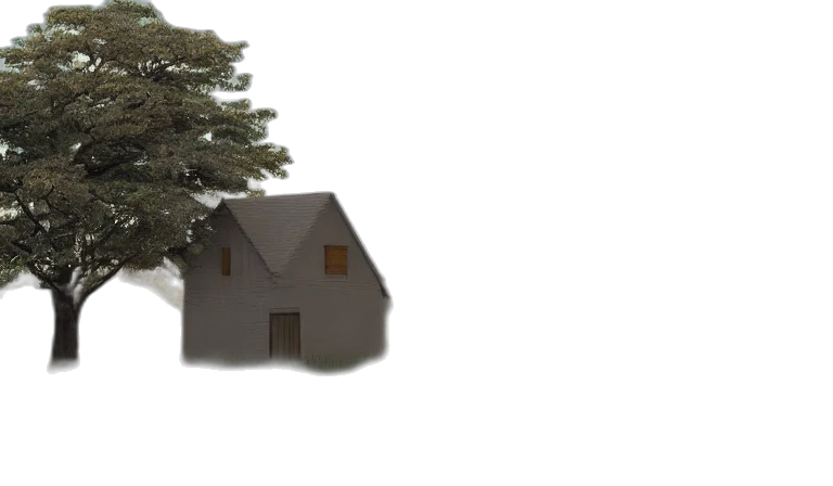tree, building, furniture, hair transparent PNG cut-out
