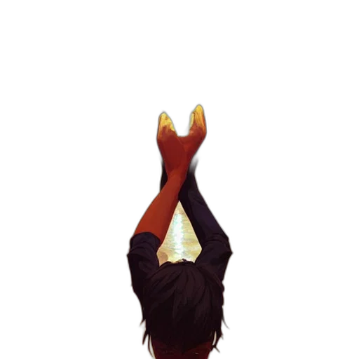 crown, hair, animal, hat transparent PNG cut-out