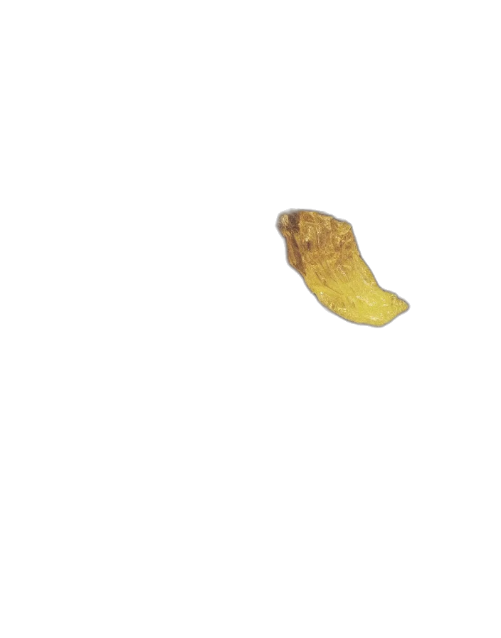 food, shoes, animal, crown transparent PNG cut-out