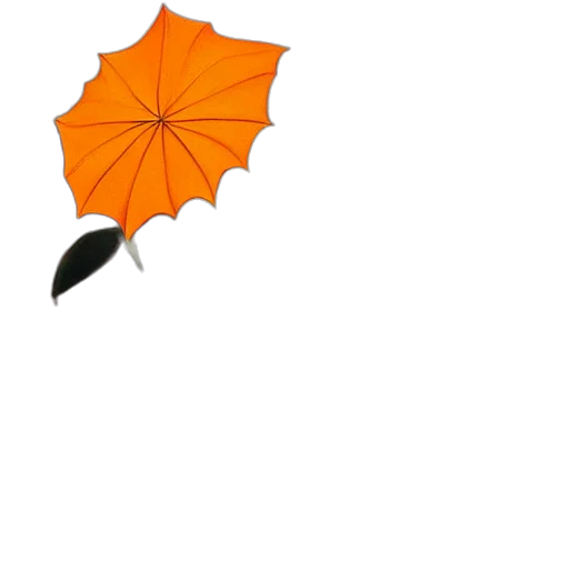 umbrella, staff, flower, hat transparent PNG cut-out