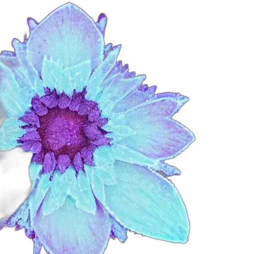 flower, jewelry, crown, photorealistic transparent PNG cut-out