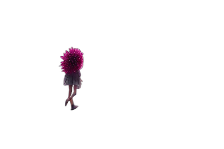 hair, umbrella, flower, dress transparent PNG cut-out