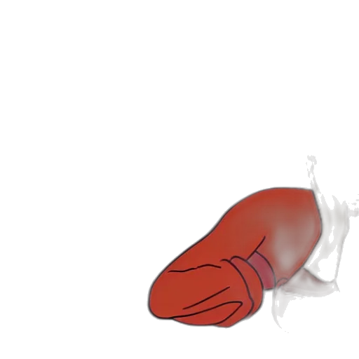 bottle, umbrella, food, weapon transparent PNG cut-out