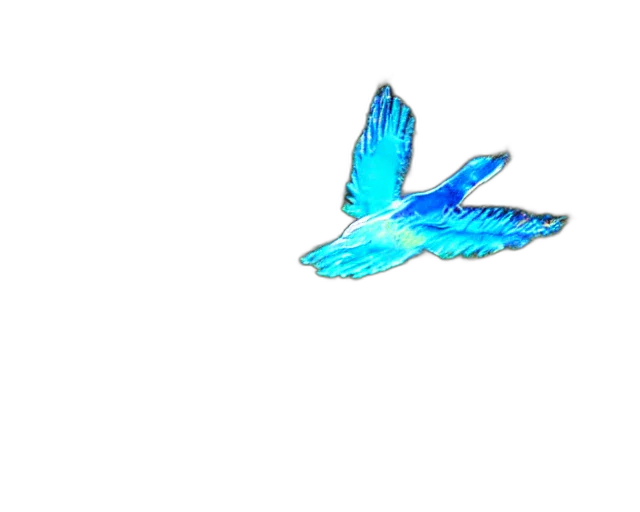 animal, dragon, weapon, staff transparent PNG cut-out
