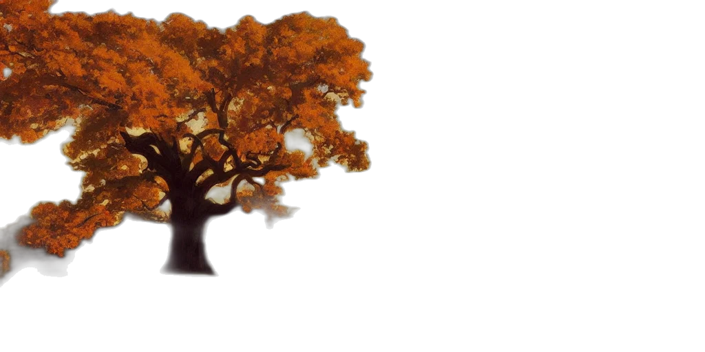 tree, crown, hair, hat transparent PNG cut-out