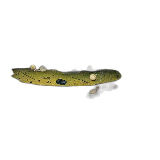 animal, creature, staff, weapon transparent PNG cut-out