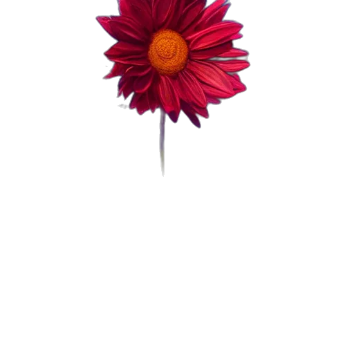 flower, staff, jewelry, crown transparent PNG cut-out