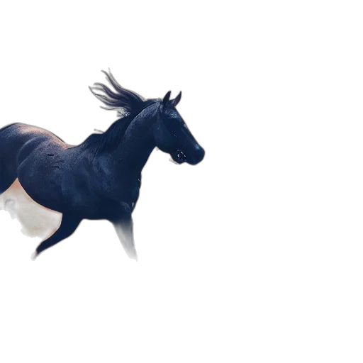 animal, dragon, creature, hair transparent PNG cut-out