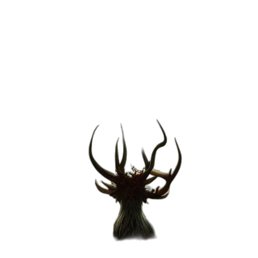 crown, animal, creature, hair transparent PNG cut-out