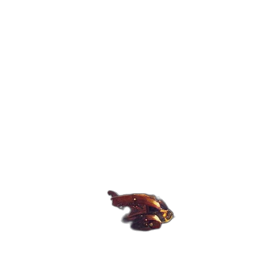 creature, dragon, animal, weapon transparent PNG cut-out
