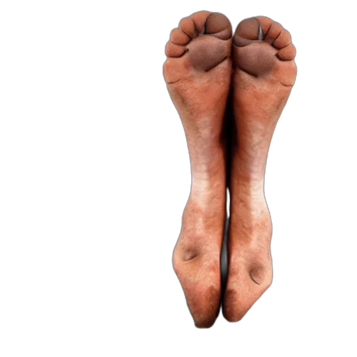 shoes, face, hair, food transparent PNG cut-out