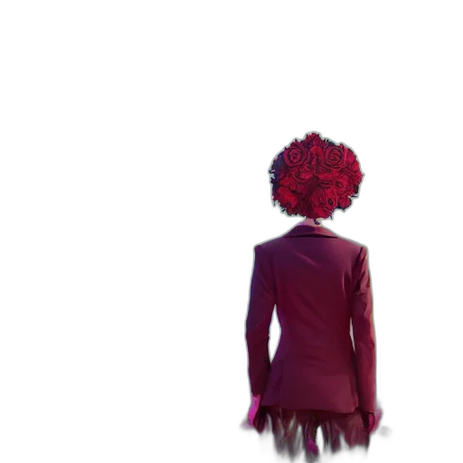 dress, jacket, hat, crown transparent PNG cut-out