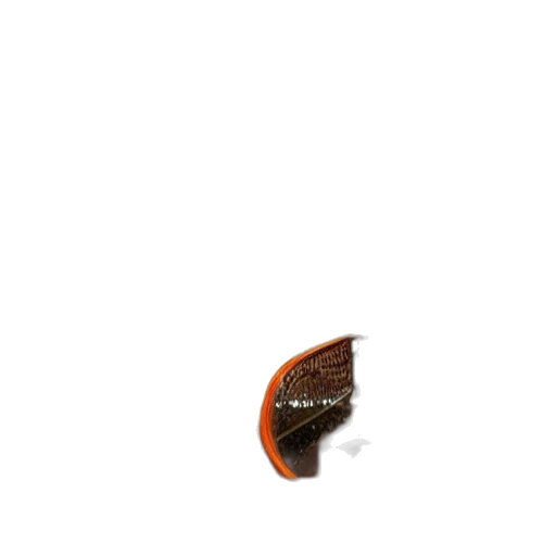hat, food, hair, shoes transparent PNG cut-out