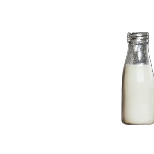 bottle, food, weapon, animal transparent PNG cut-out