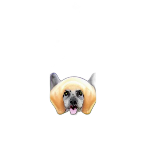 animal, staff, creature, hat transparent PNG cut-out