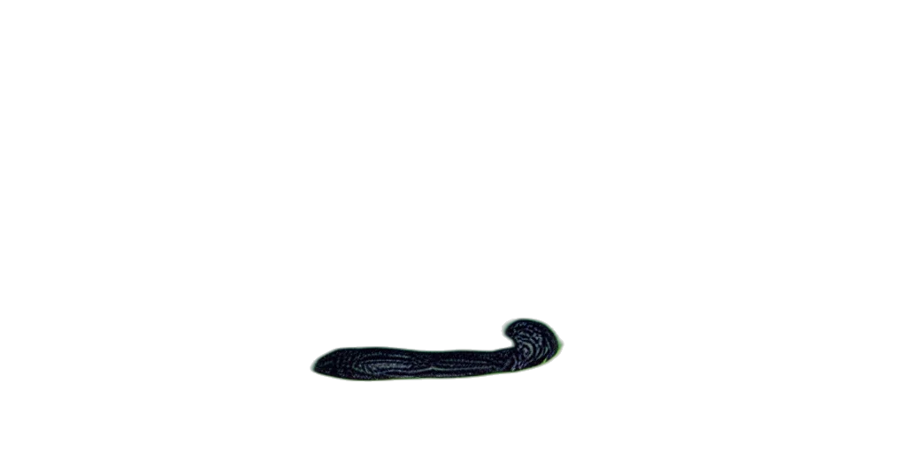 hair, staff, animal, hat transparent PNG cut-out