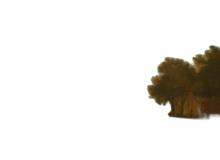 crown, hair, hat, tree transparent PNG cut-out