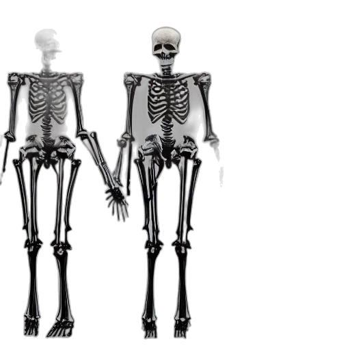 robot, concept art, 3d render, skeletal transparent PNG cut-out