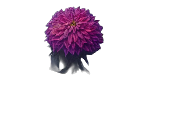 flower, crown, hair, umbrella transparent PNG cut-out