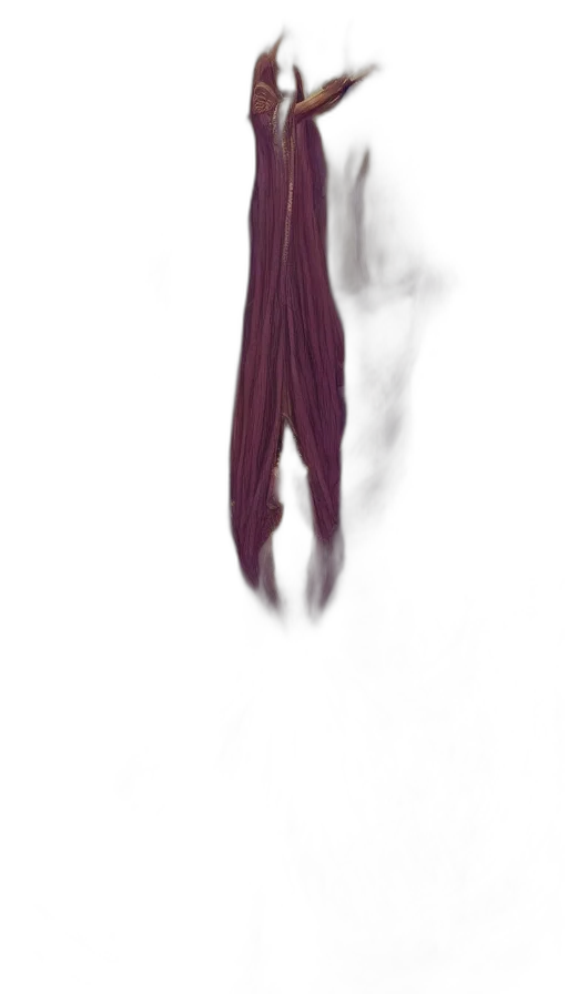 dress, staff, hair, creature transparent PNG cut-out