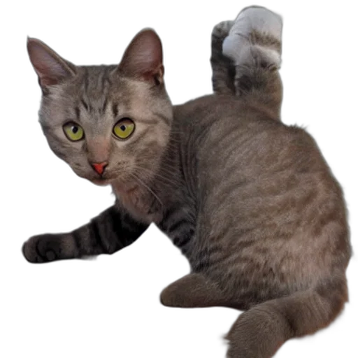 animal, creature, staff, weapon transparent PNG cut-out