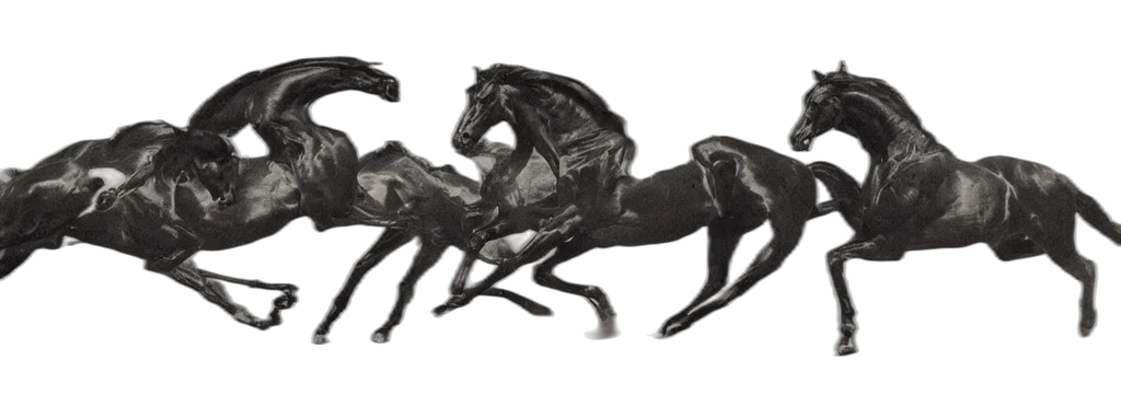 animal, dragon, crown, jewelry transparent PNG cut-out