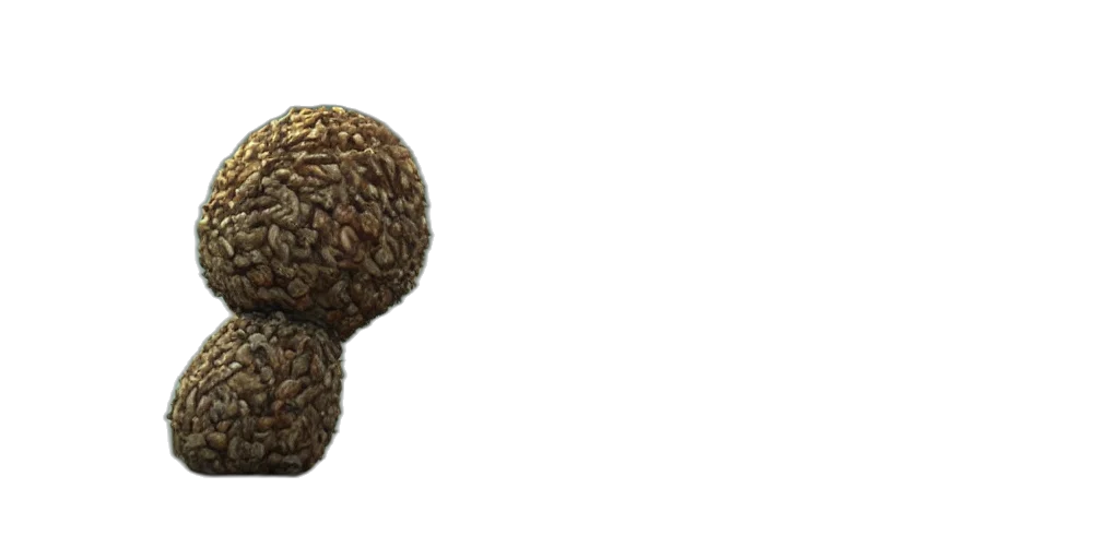 hair, hat, food, crown transparent PNG cut-out