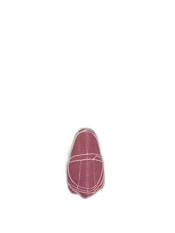 bottle, jewelry, shoes, hat transparent PNG cut-out