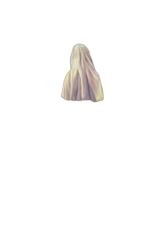 dress, mask, hat, face transparent PNG cut-out