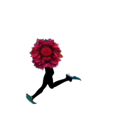 flower, creature, shoes, crown transparent PNG cut-out
