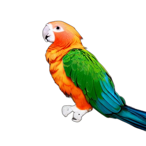 animal, jewelry, creature, staff transparent PNG cut-out