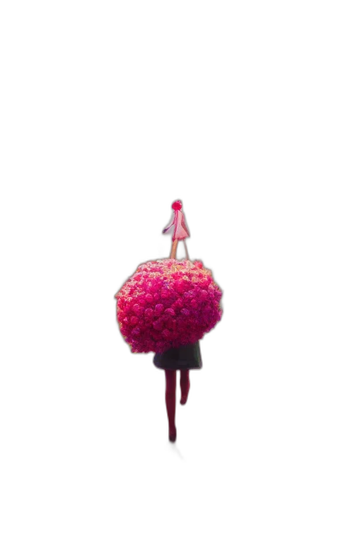umbrella, staff, crown, flower transparent PNG cut-out
