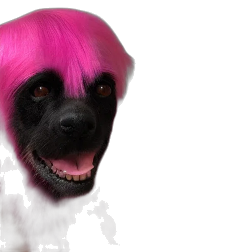 animal, hair, creature, face transparent PNG cut-out