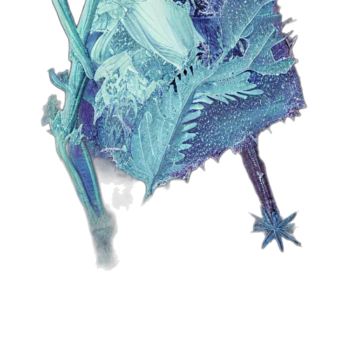 staff, flower, umbrella, weapon transparent PNG cut-out