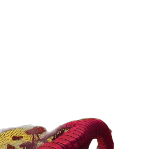 dragon, animal, creature, hat transparent PNG cut-out