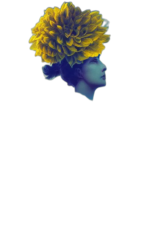 crown, flower, face, hat transparent PNG cut-out