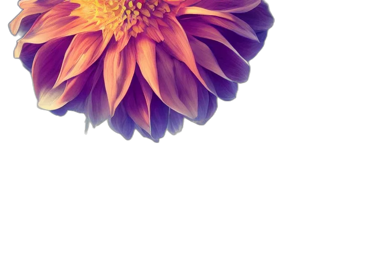 flower, crown, umbrella, jewelry transparent PNG cut-out