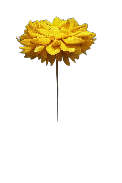flower, crown, umbrella, staff transparent PNG cut-out