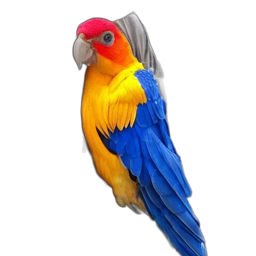 animal, jewelry, crown, staff transparent PNG cut-out