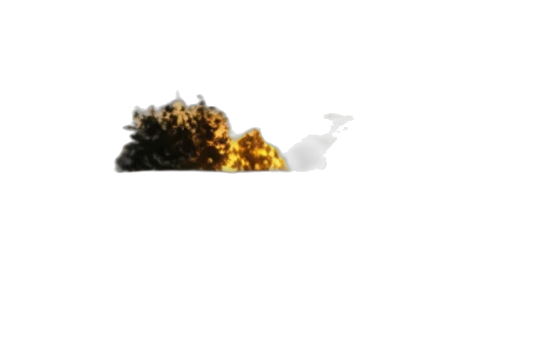 tree, crown, hair, dragon transparent PNG cut-out