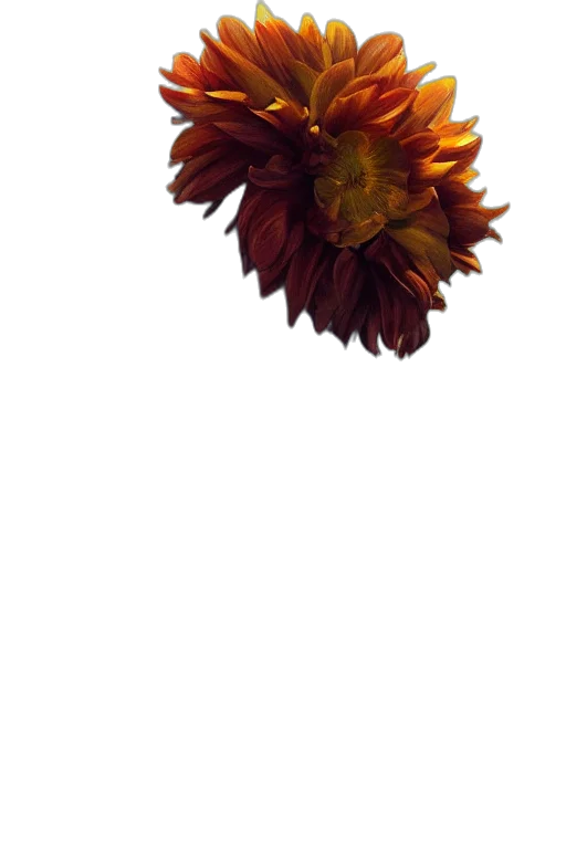 flower, crown, staff, face transparent PNG cut-out