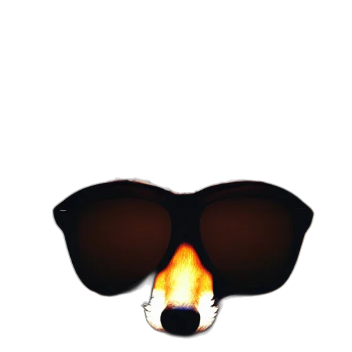 mask, face, hat, animal transparent PNG cut-out