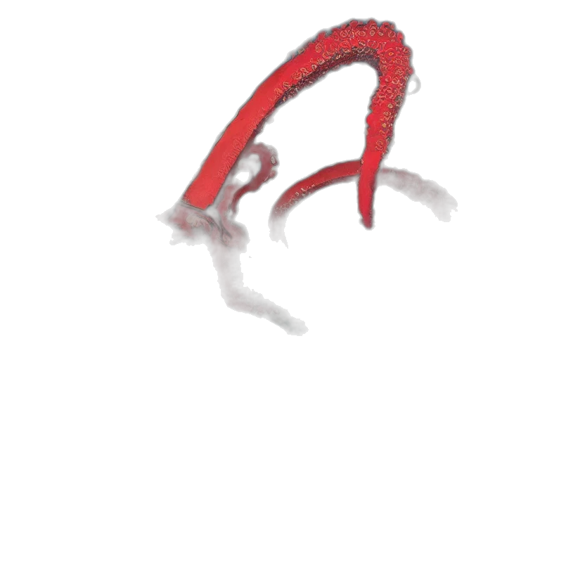 dragon, face, mask, hair transparent PNG cut-out