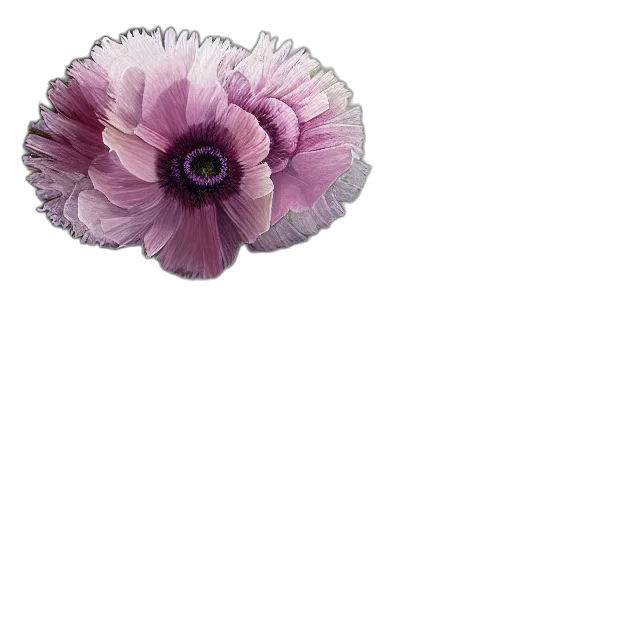 flower, crown, hair, hat transparent PNG cut-out