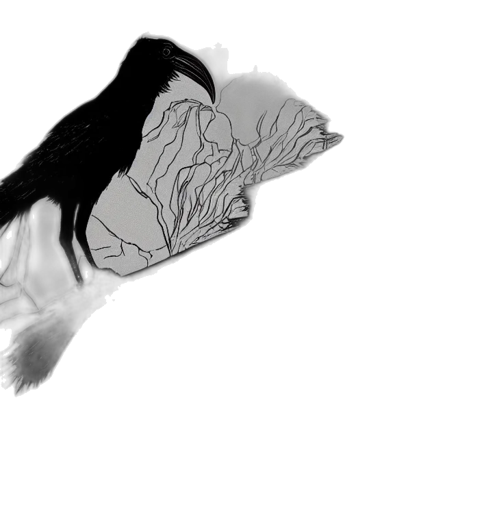 hair, creature, mask, animal transparent PNG cut-out