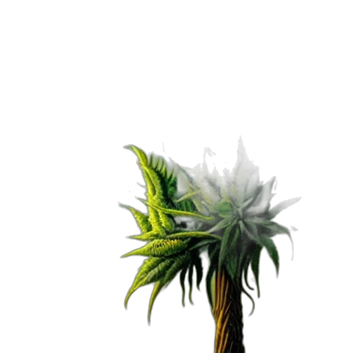 tree, hat, staff, hair transparent PNG cut-out