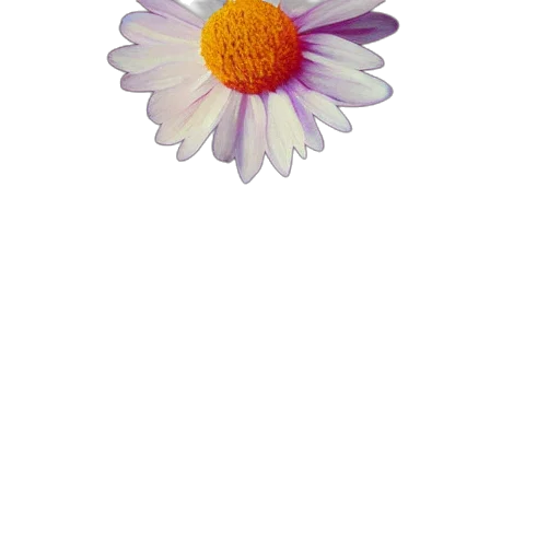 flower, jewelry, crown, staff transparent PNG cut-out