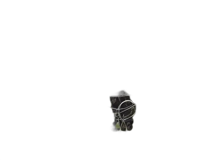 flower, weapon, jewelry, robot transparent PNG cut-out